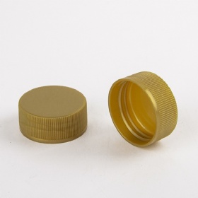 38 mm HDPE Plastic Tamper-Evident Screw Top Cap